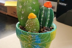 Fancy cactus group
